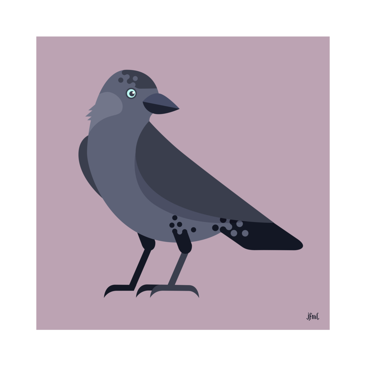 Rather abstract vector illustration of a super cute (light blue eyes!) Jackdaw on a rose background with a white frame.