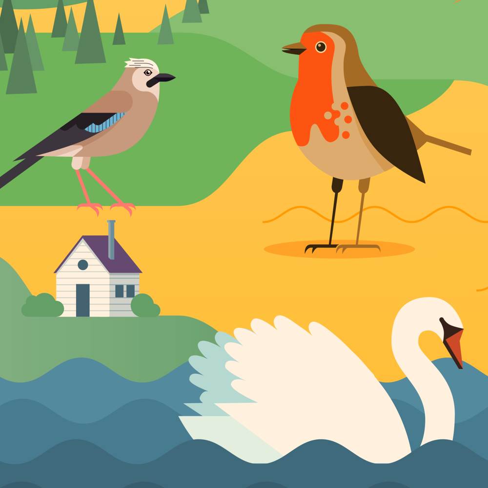 Detail of the illustration featuring a jay, a robin and a swan (and a house in the landscape).